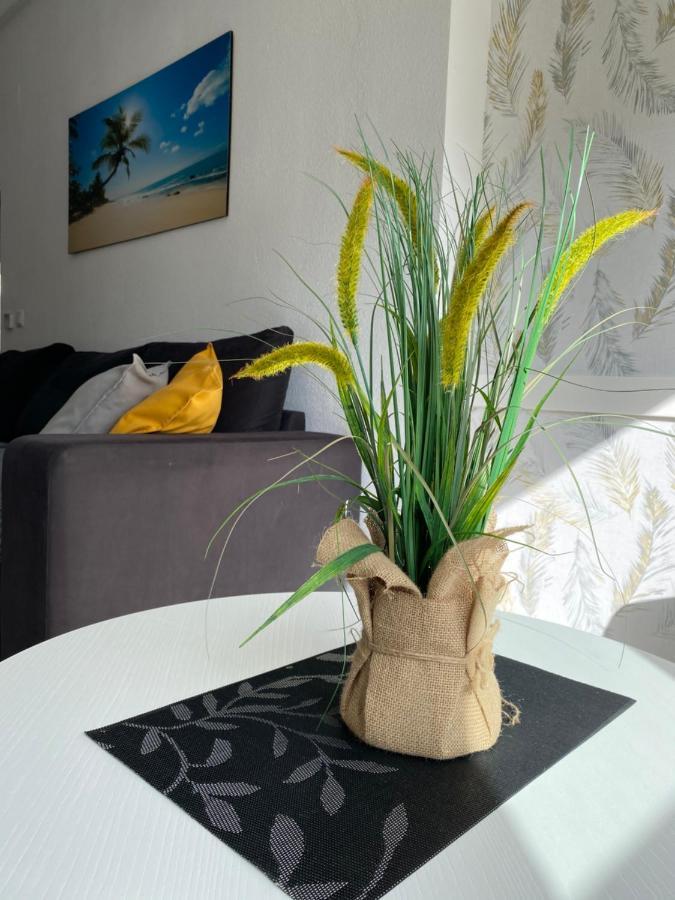 Sunshine Apartment 또레비에하 외부 사진